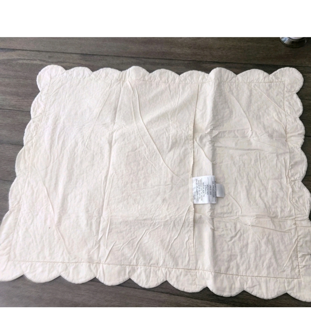 2 JCPenney Shabby Chic Floral Quilted Kayla Sham Standard Size 21"X27" New - Picture 9 of 12